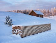 Madeira empilhada e pequena casa de madeira na neve de inverno — Fotografia de Stock
