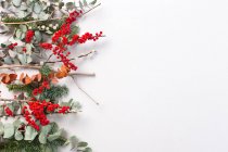 Різдвяні прикраси на білому тлі, зелене листя та червоні ягоди — стокове фото