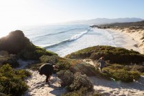 Un adolescente e suo fratello su un sentiero verso una spiaggia di sabbia — Foto stock