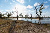 Una estrecha vía fluvial en el espacio abierto del Delta del Okavango. - foto de stock