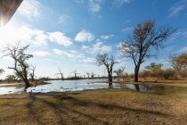 Une voie navigable étroite dans l'espace ouvert du delta de l'Okavango. — Photo de stock