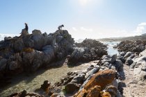 Duas crianças, uma adolescente e um menino de oito anos explorando as rochas irregulares e as piscinas de rochas em uma praia. — Fotografia de Stock