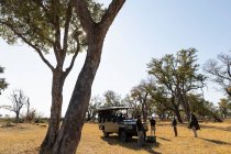 Gruppe von Menschen, die um Safari-Fahrzeuge auf einer frühmorgendlichen Pirschfahrt stehen — Stockfoto