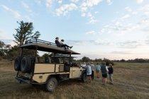 Grupo de personas de pie alrededor de vehículos de safari en una unidad de juego temprano en la mañana - foto de stock