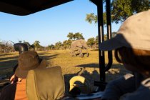 Пассажиры в сафари-джипе наблюдают за большим слоном, идущим рядом с транспортным средством. — стоковое фото