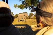 Passagiere im Safari-Jeep beobachten einen großen Elefanten, der in der Nähe des Fahrzeugs läuft. — Stockfoto
