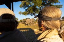 Пасажири в сафарі-джазі спостерігають за великим слоном, що йде біля автомобіля . — стокове фото