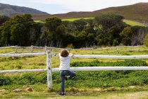 Восьмирічний хлопчик спирається на паркан, дивлячись на коней у полі — стокове фото