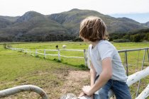 Otto anno vecchio ragazzo appoggiato su un recinto, guardando cavalli in un campo — Foto stock