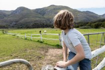 Niño de ocho años apoyado en una valla, mirando caballos en un campo - foto de stock