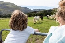 Rapaz de oito anos apoiado numa cerca, a ver cavalos num campo — Fotografia de Stock