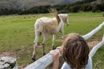 Rapaz de oito anos apoiado numa cerca, a ver cavalos num campo — Fotografia de Stock