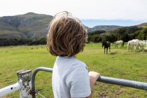 Achtjähriger Junge lehnt an Zaun und beobachtet Pferde auf einem Feld — Stockfoto