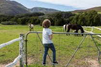 Otto anno vecchio ragazzo appoggiato su un recinto, guardando cavalli in un campo — Foto stock