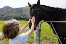 Eight year old boy patting a horse in a field — Stock Photo