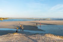 Люди и собаки на широком песчаном пляже на закате — стоковое фото