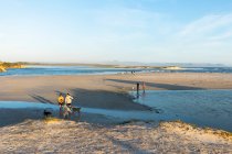 Amplia playa de arena y canales de agua y dunas, personas y perros en la arena al atardecer - foto de stock