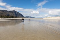 Adolescente y hermano menor caminando a través de aguas poco profundas en una playa de arena - foto de stock