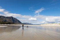 Ragazza adolescente e il suo giovane fratello a piedi attraverso una vasta spiaggia — Foto stock