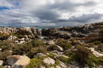 Rocky jagged coastline, eroded sandstone rock, view out to the ocean — Stock Photo