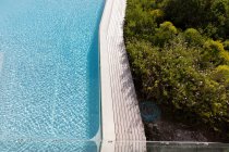 Luftaufnahme eines Swimmingpools mit gepflastertem Rand und Pflanzen im Garten. — Stockfoto