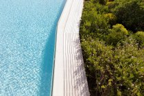 Luftaufnahme eines Swimmingpools mit gepflastertem Rand und Pflanzen im Garten. — Stockfoto
