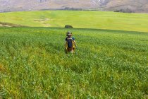 Мальчик ходит, Стэнфорд Вэлли Гостевая ферма, Стэнфорд, Западная Мыса, Южная Африка. — стоковое фото