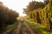 Wandel Pad, a walking route in countryside near Stanford — Stock Photo