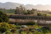 Wandel Pad, Stanford, Western Cape, South Africa. — Foto stock