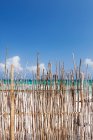 Una cerca de palo a lo largo de una playa de arena blanca - foto de stock