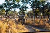 Una jeep safari con i passeggeri su un sunrise drive attraverso un paesaggio. — Foto stock