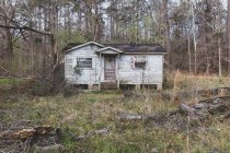 Uma propriedade rural ou pequena casa abandonada e desmoronada, repleta de plantas e arbustos. — Fotografia de Stock