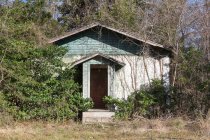 A rural homestead or small house abandoned and crumbling, overgrown with plants and shrubs. — Foto stock