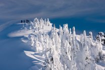 Neve de inverno nas montanhas das Cascatas do Norte, vista elevada da luz solar nas formações de gelo nas árvores., — Fotografia de Stock