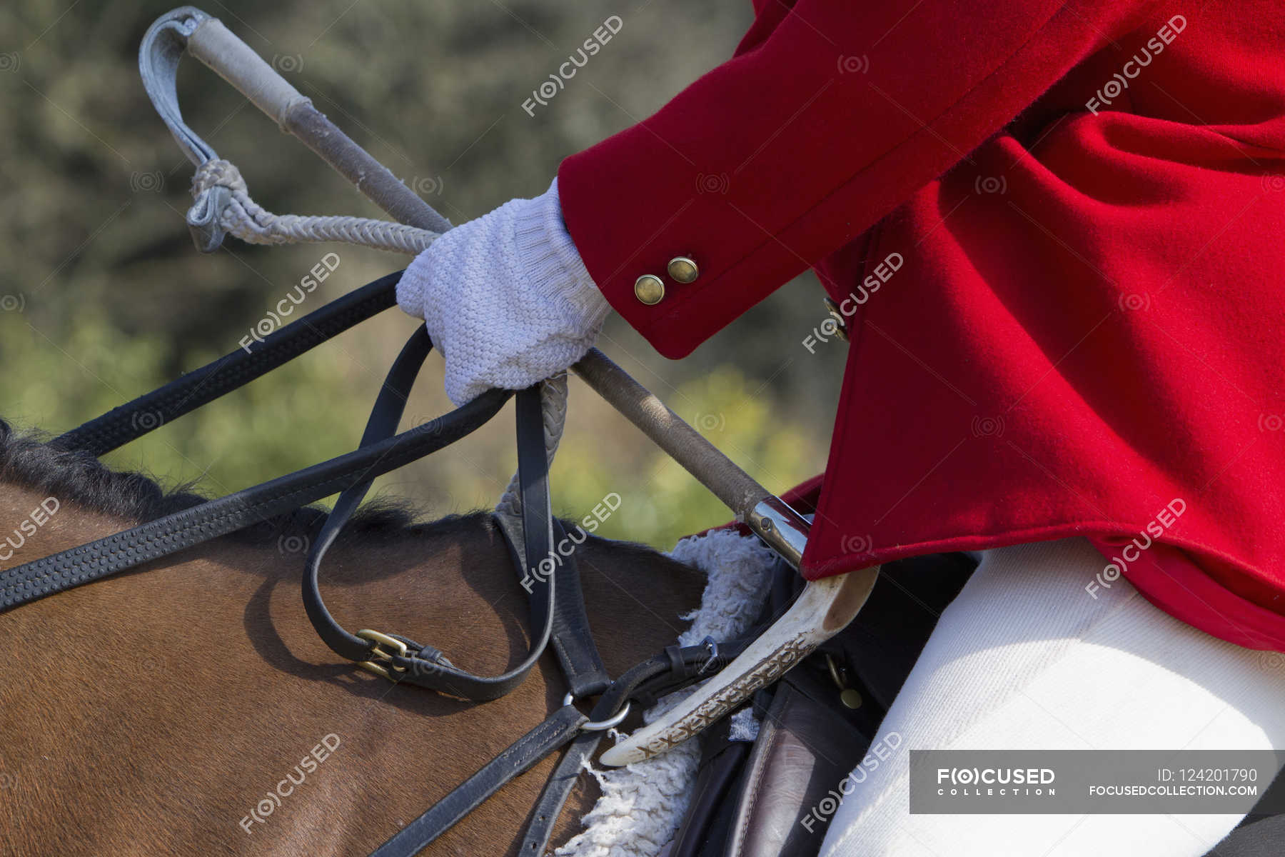 Master of Foxhounds in a traditional hunting coat — day, horse rider ...