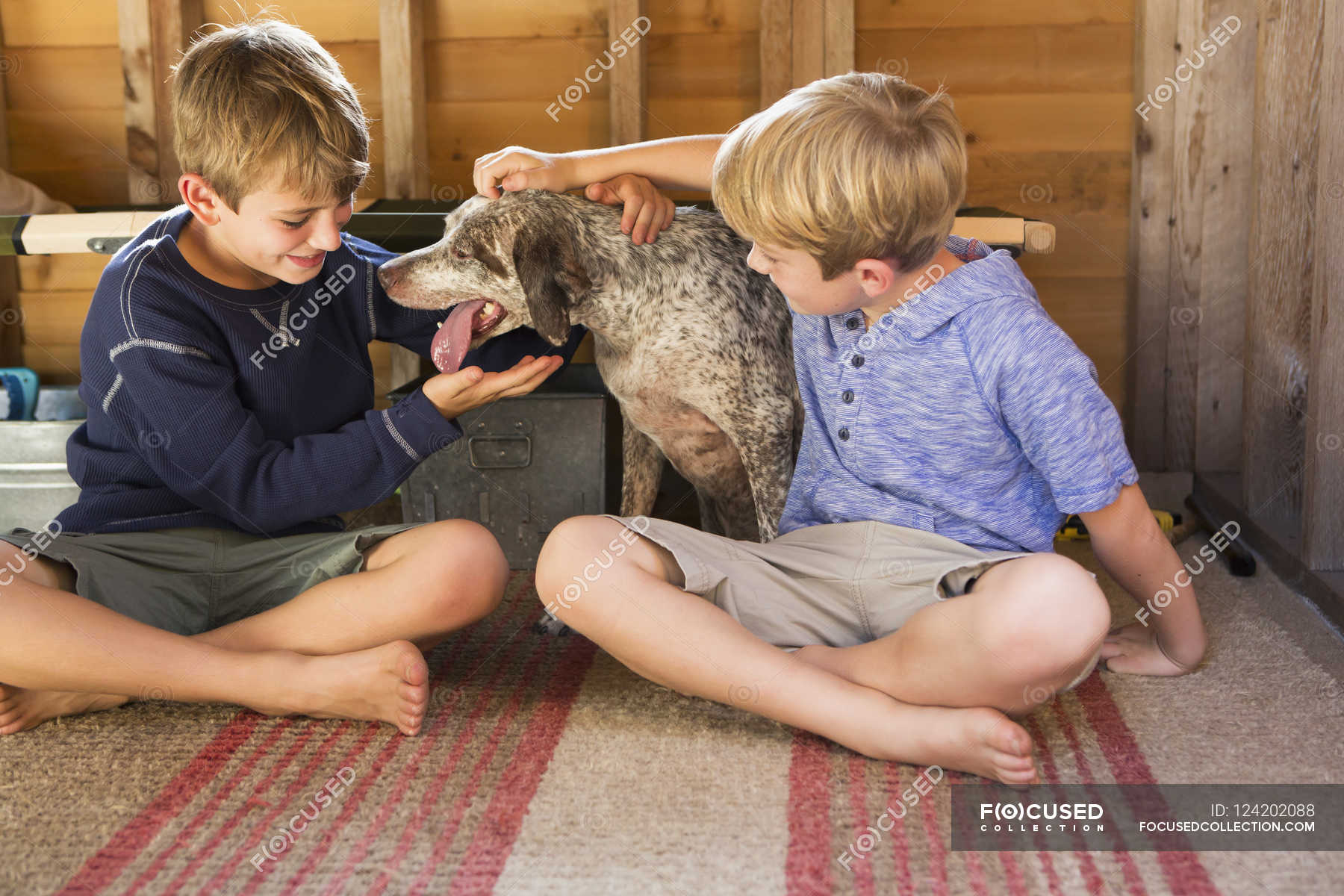 Petting boys. Boy in Pet position.