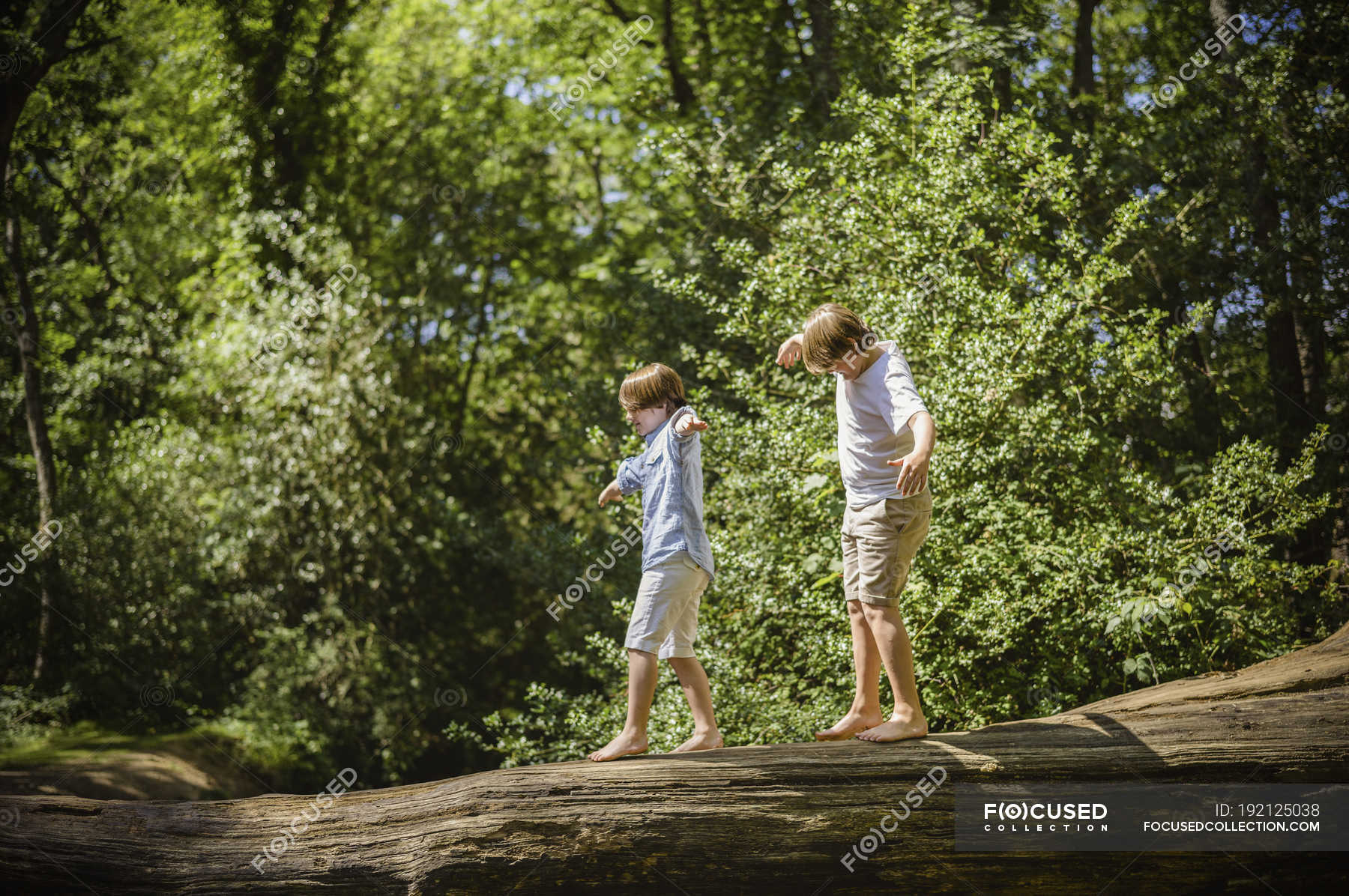 Camping boys. Два мальчика рядом с деревом картинки. Два мальчика идут картинка. Boys on Camping.