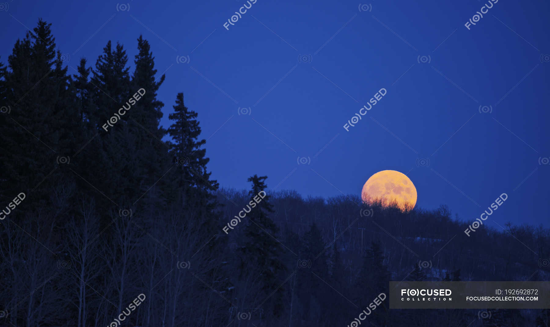 Scenic View Of Full Moon In Dark Blue Night Sky Luminosity Silhouettes Stock Photo 192692872