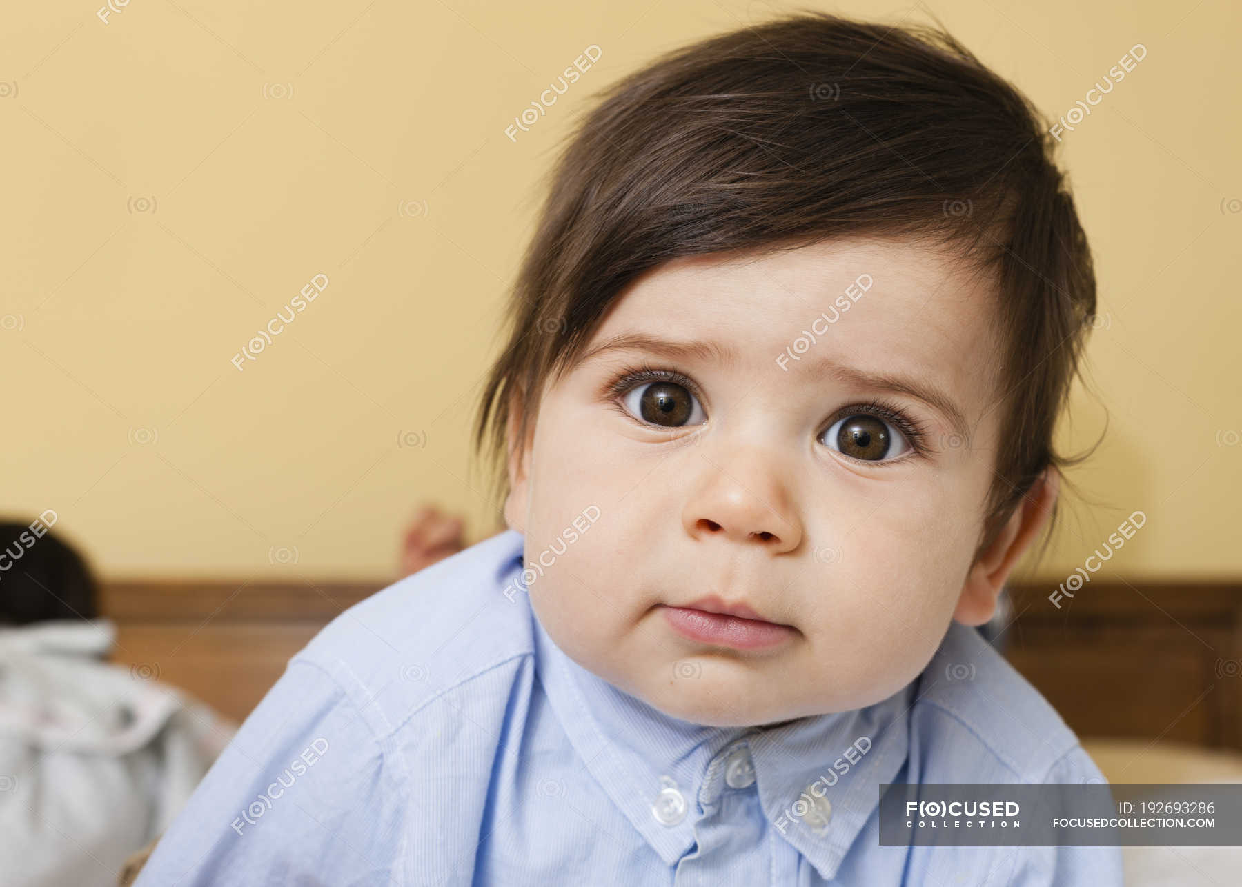 Toddler child with brown eyes and black hair looking in camera. — close up,  one person - Stock Photo | #192693286