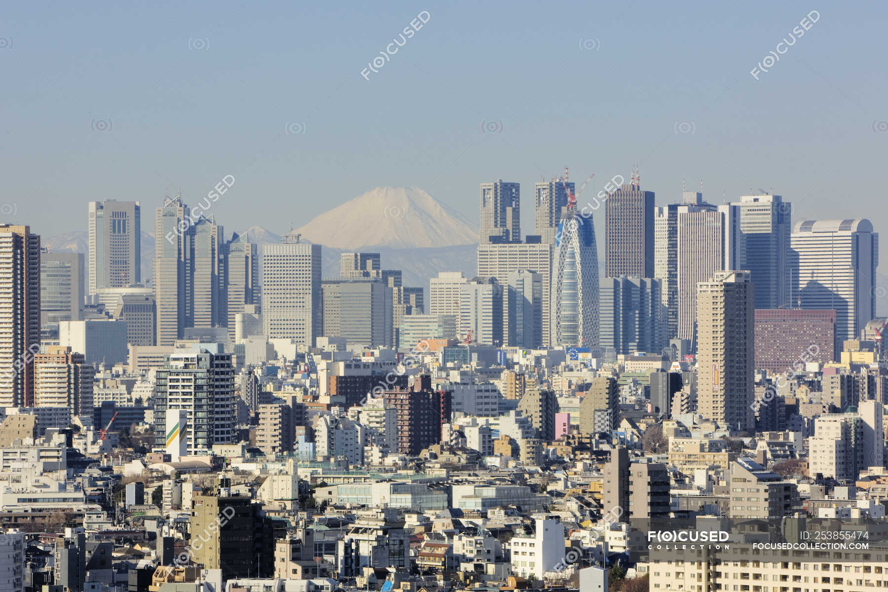 Shinjuku Skyline With Fuji Mountain In Tokyo Japan Nobody Copy Space Stock Photo