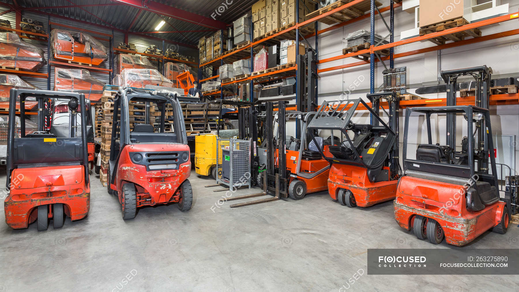 Forklift machinery parked in a row in warehouse — concrete, indoors