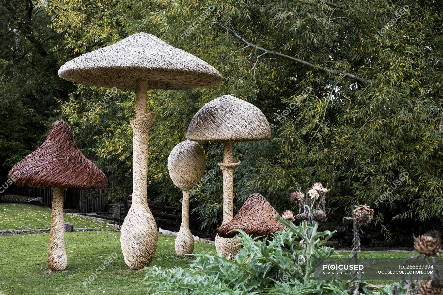 Tall wooden carved toadstools garden sculptures in Oxfordshire, England