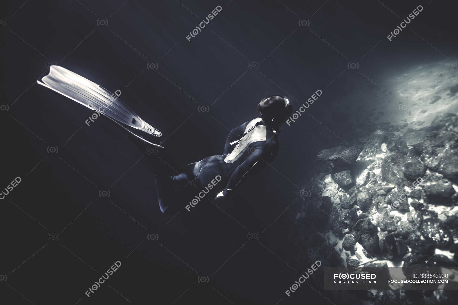 Underwater view of diver wearing wet suit and flippers, diving near
