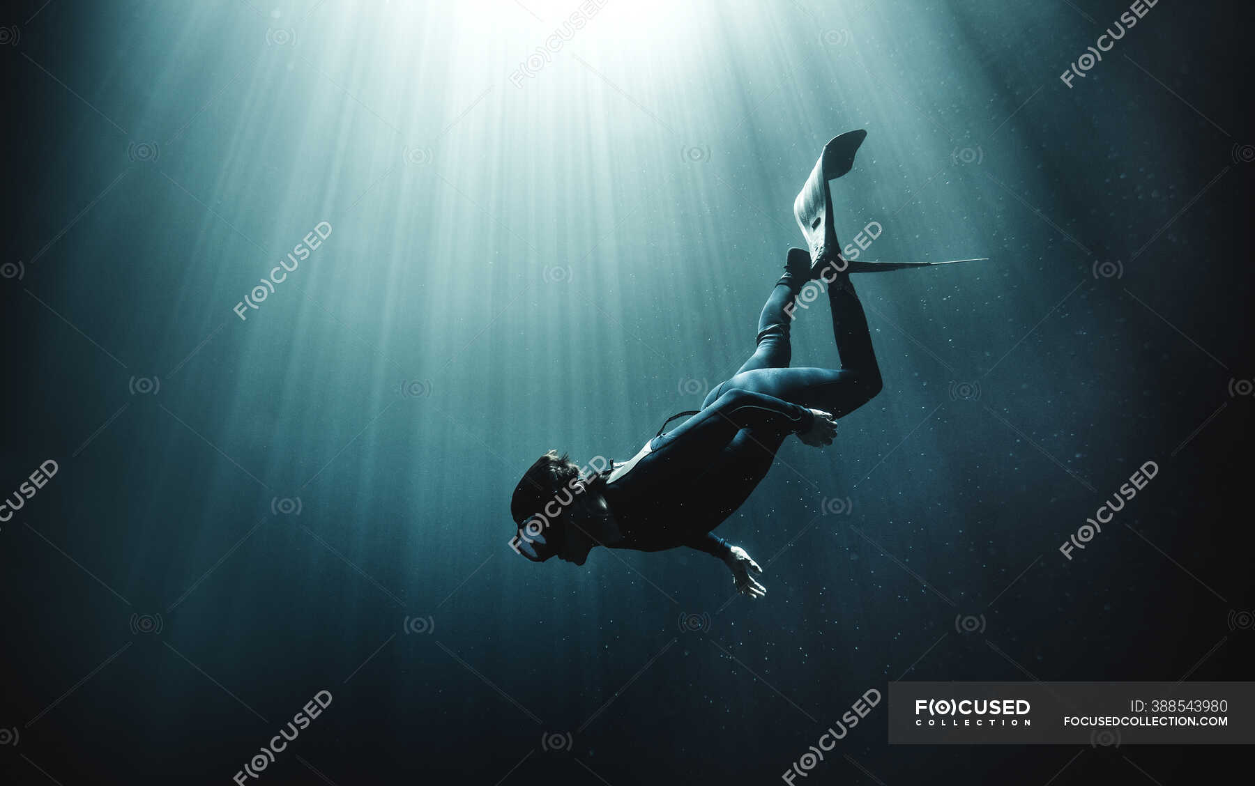 Underwater view of diver wearing wet suit and flippers, sunlight