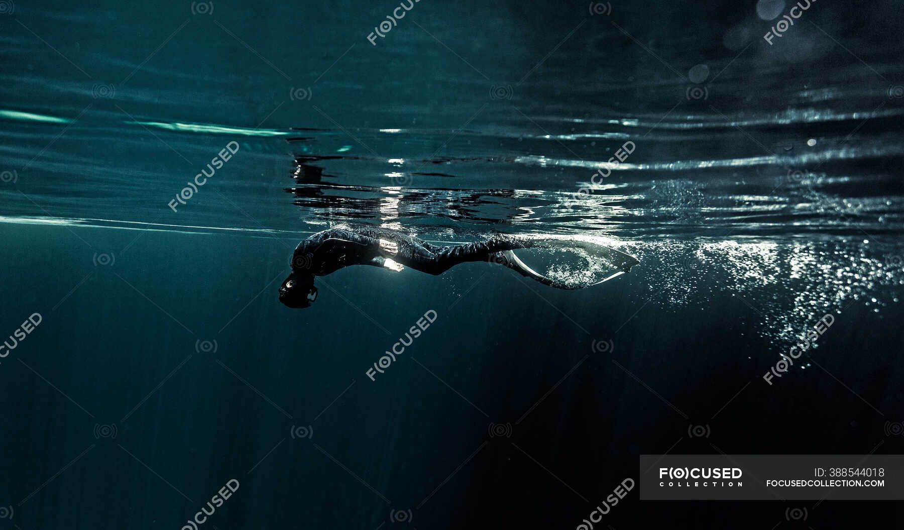 Underwater view of diver wearing wet suit and flippers diving just