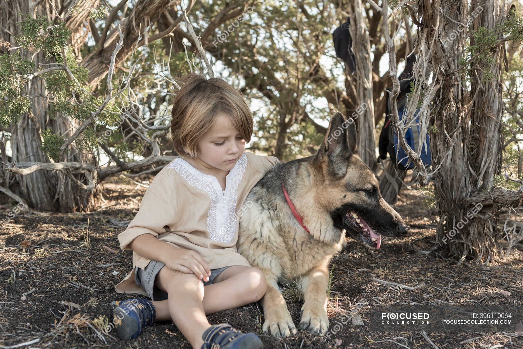 are german shepherds good for hiking