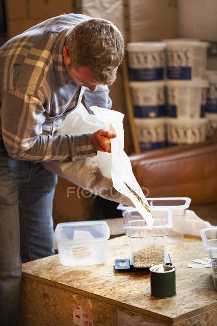 Man pouring coffee beans into a tub. — Stock Photo