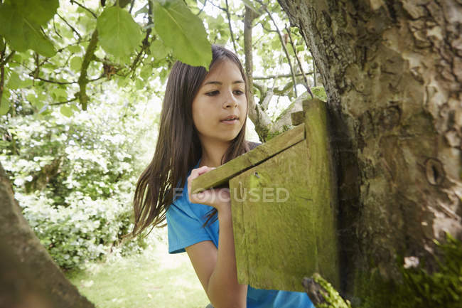 Fille vérifiant un nichoir sur un tronc d'arbre . — Photo de stock