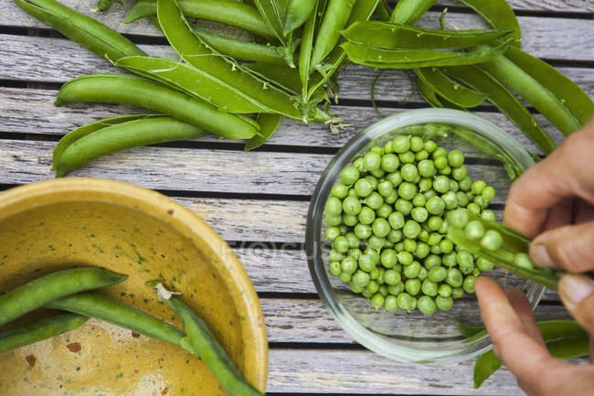 Bowl of freshly picked peas. — Stock Photo