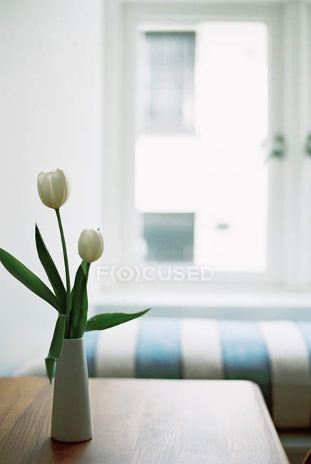 Florero de tulipanes blancos - foto de stock